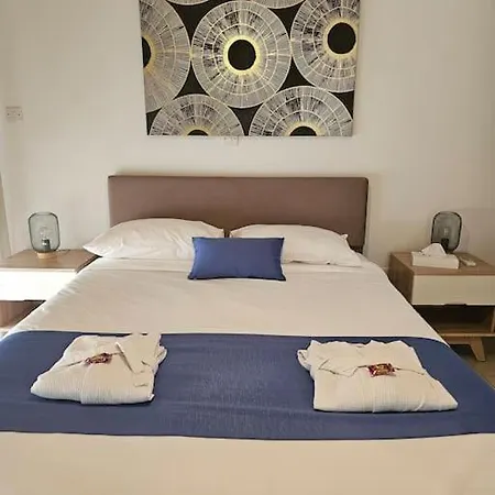 Apartment 11 - Urban Oasis